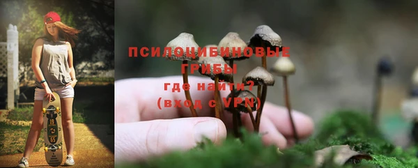 mix Пестово