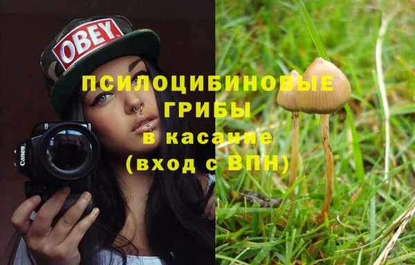 mix Пестово