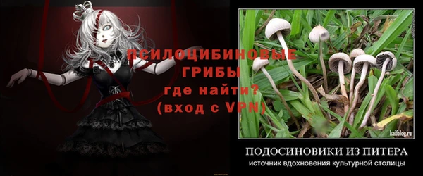 мяу мяу мука Липки